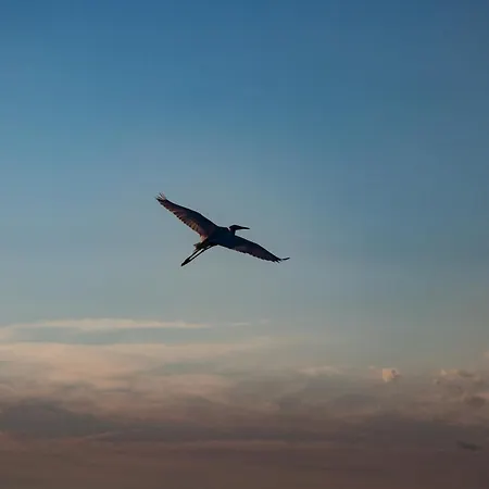 Kosuello Vendeghaz * Szántód