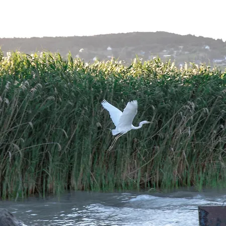 Kosuello Vendeghaz * Szántód