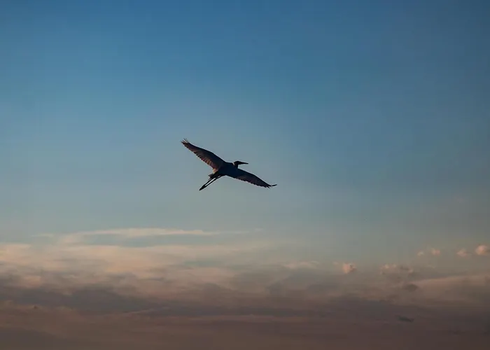 Kosuello Vendeghaz * Szántód