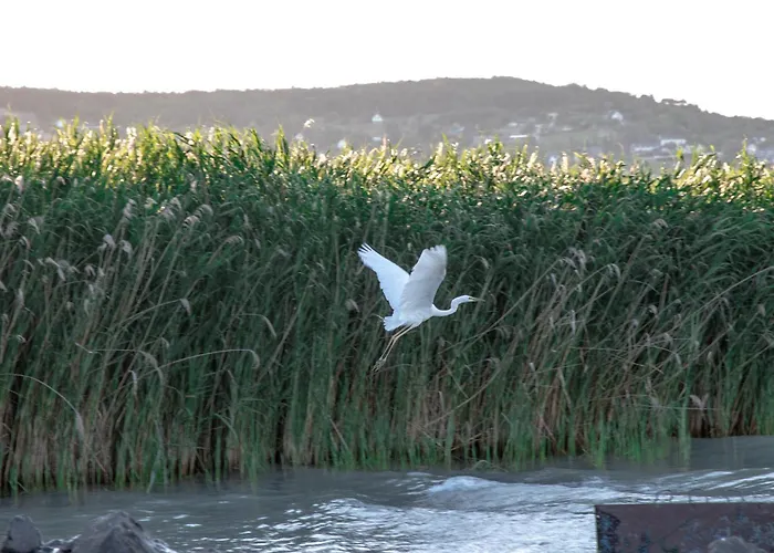 Kősüllő * Szántód