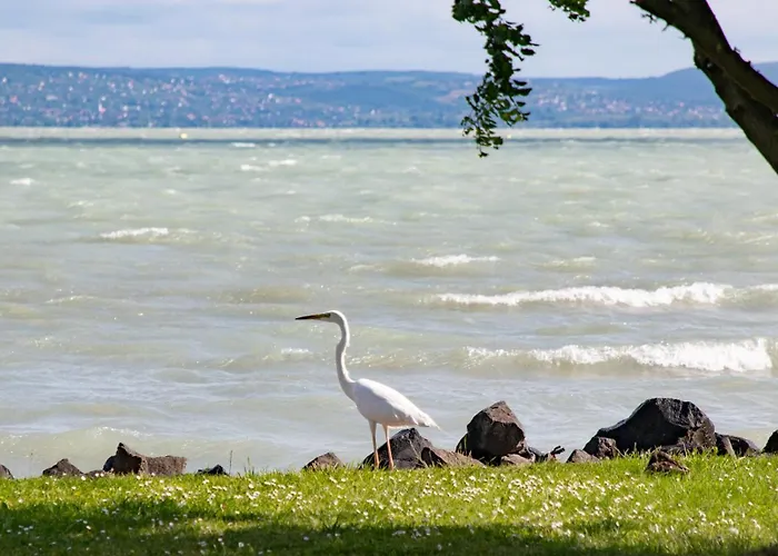 Сasa de vacaciones Kősüllő Szántód